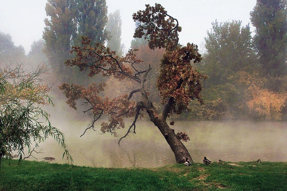 Осень у реки