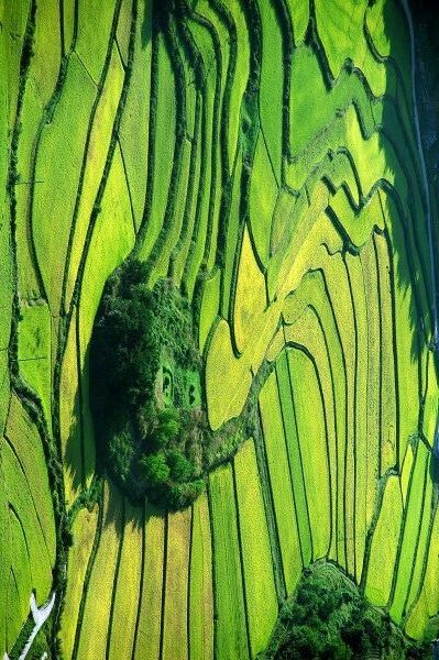 과자으