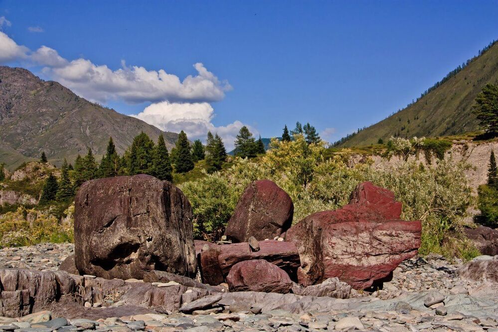 Алтай