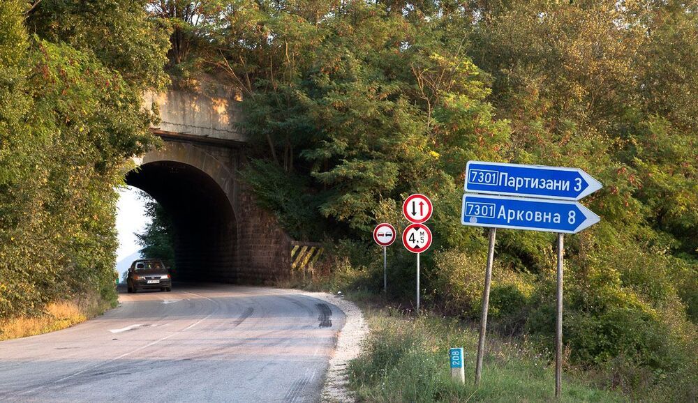 Партизаны!