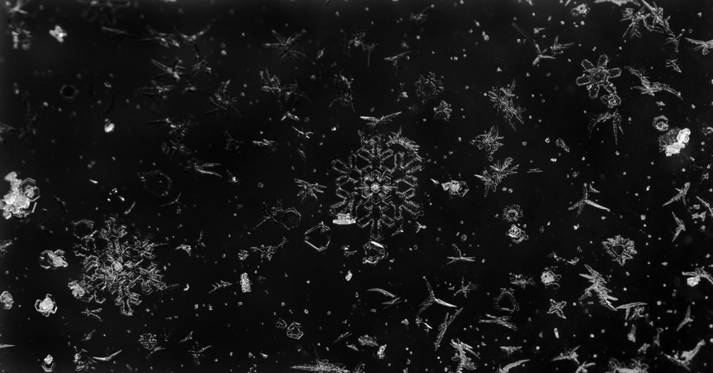 Photo 870924
