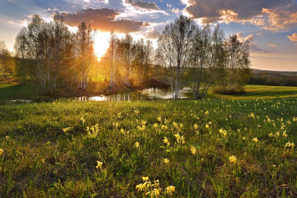 Весенние зарисовки