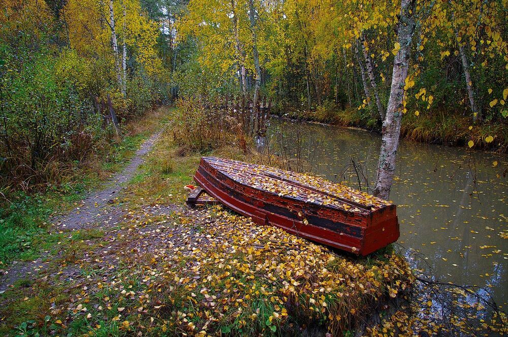 Остров
