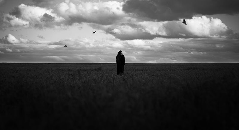 Портфолио