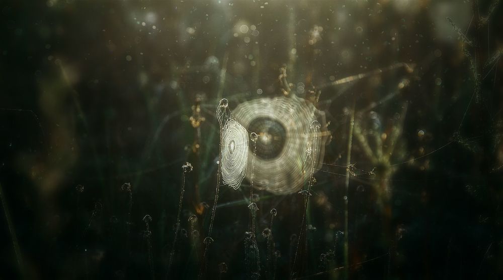 Photo 874282