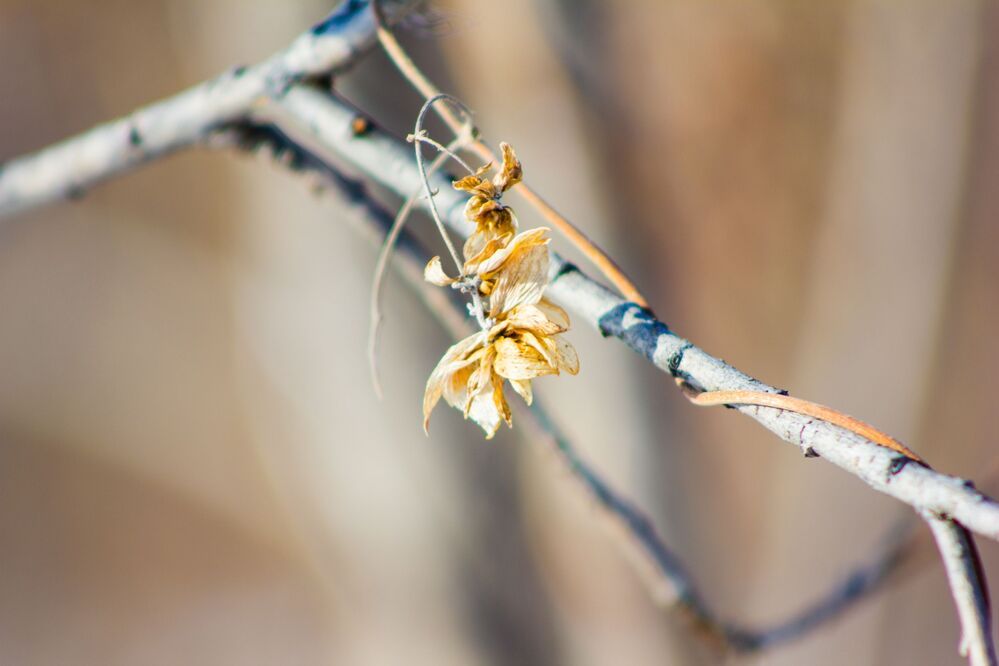 Photo 874651