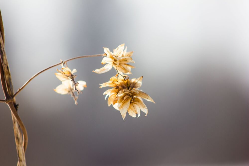 Photo 874653