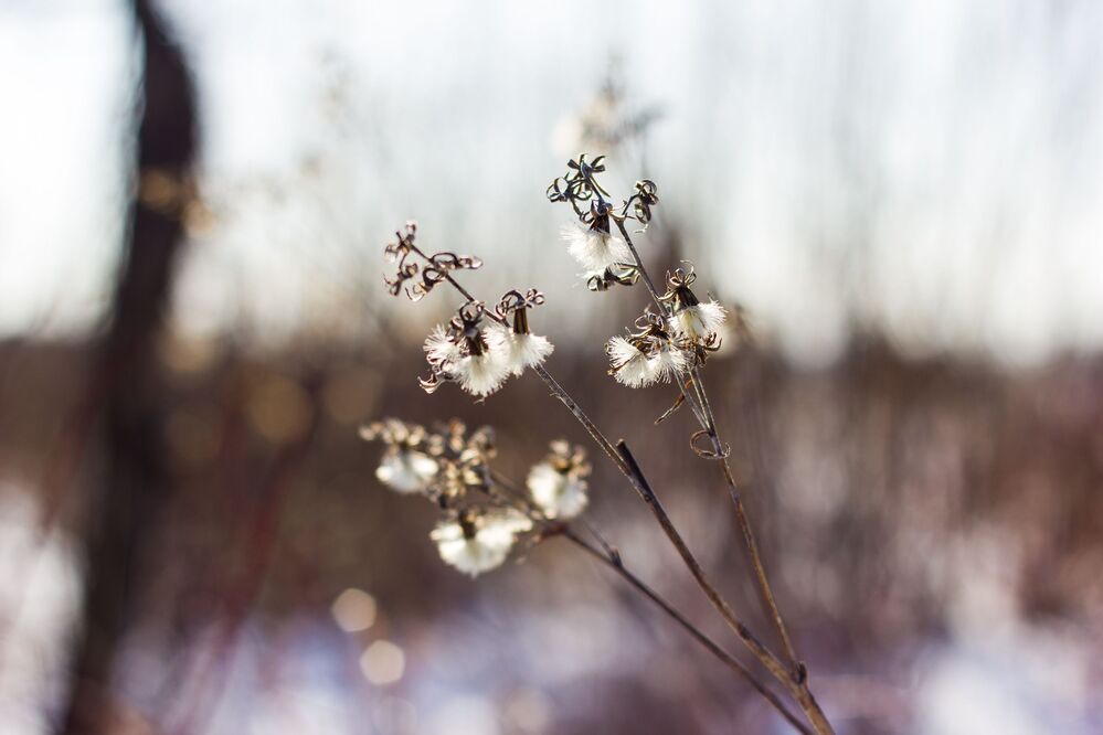Photo 874654