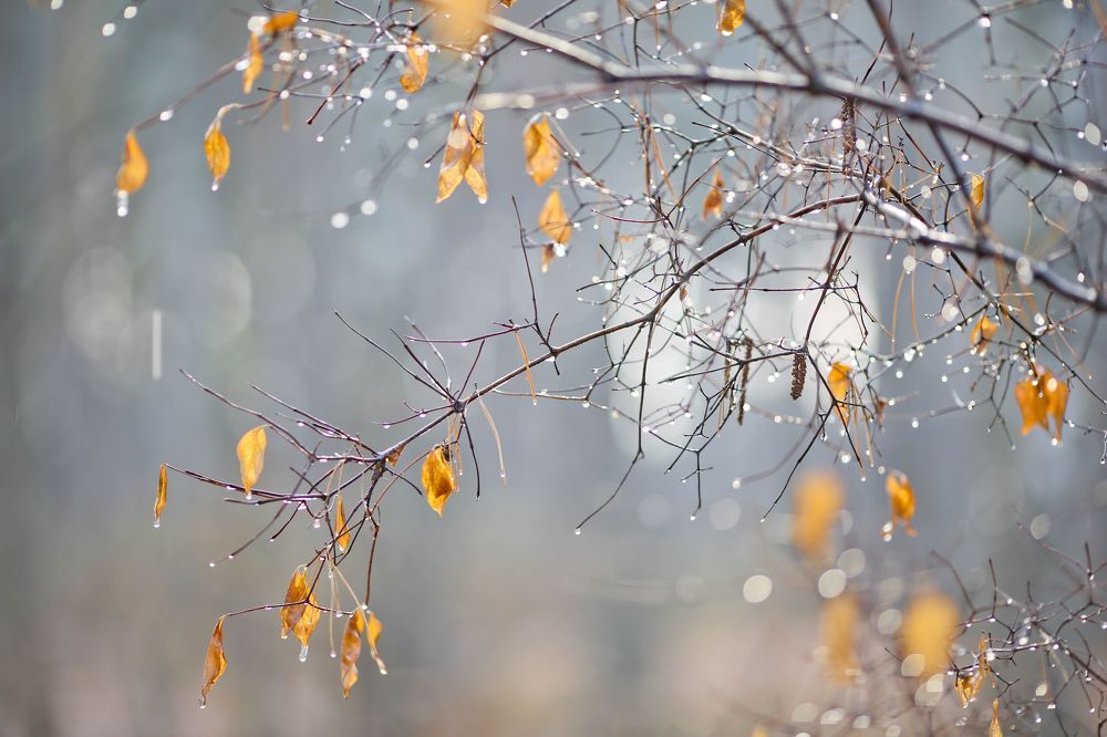 Photo 875542