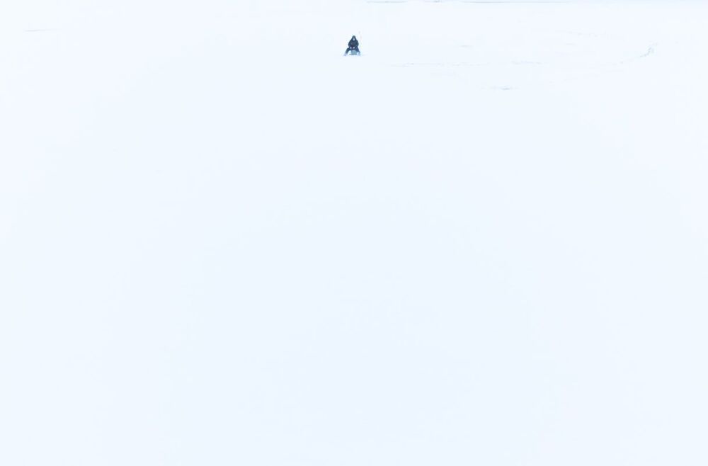 Жизнь на Неве