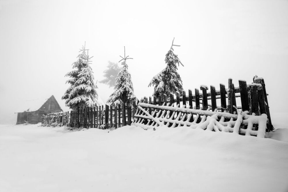 first day of true winter , in a place that loves you from the first moment