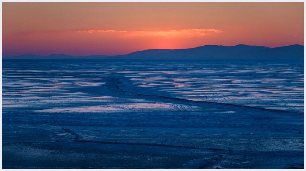 Море зимних цветов