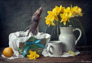 Приди, весна!