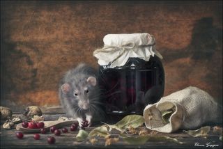 Витаминный коктейль для профилактики гриппа