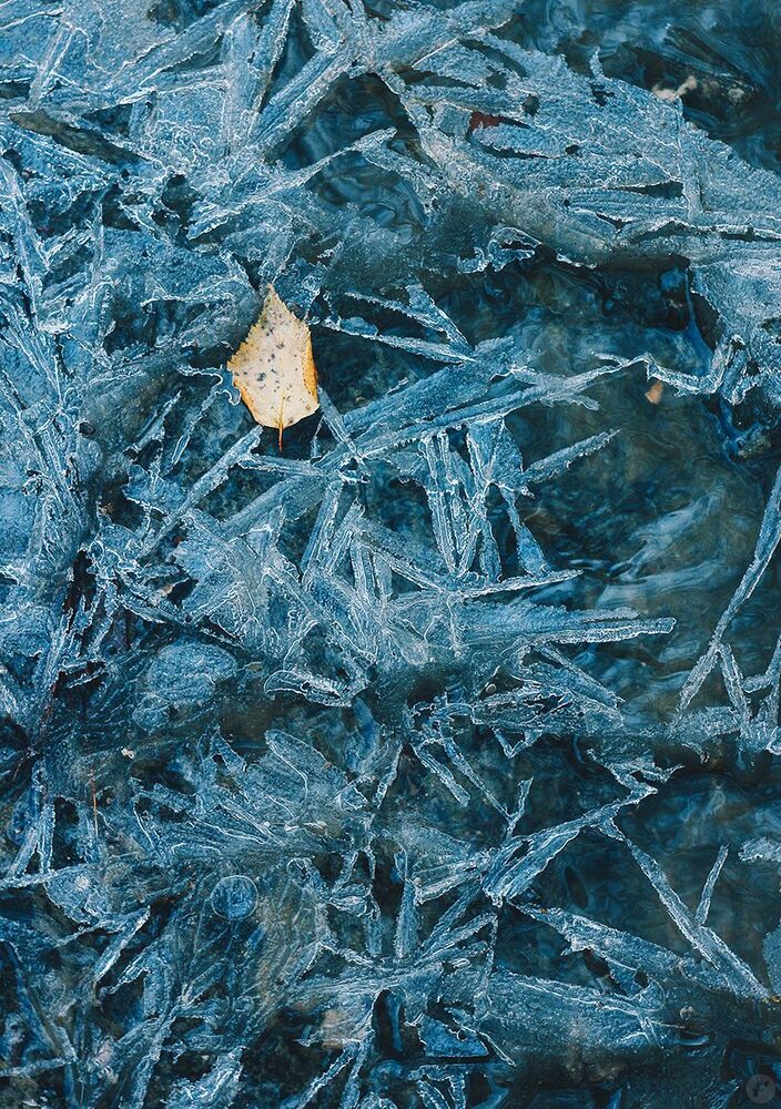 Ice