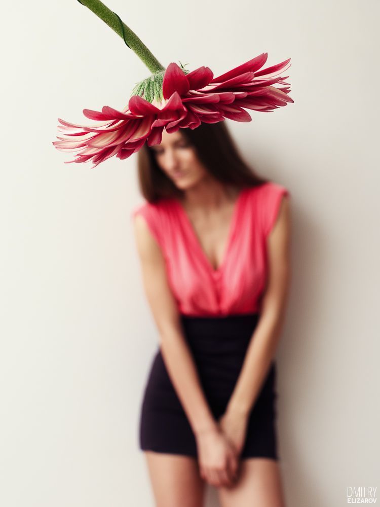 Flower Series: Chrysanthemum