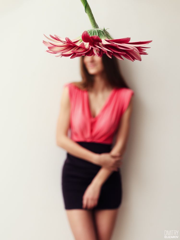 Flower Series: Chrysanthemum