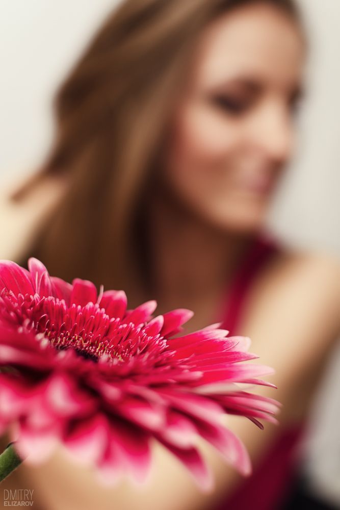 Flower Series: Chrysanthemum