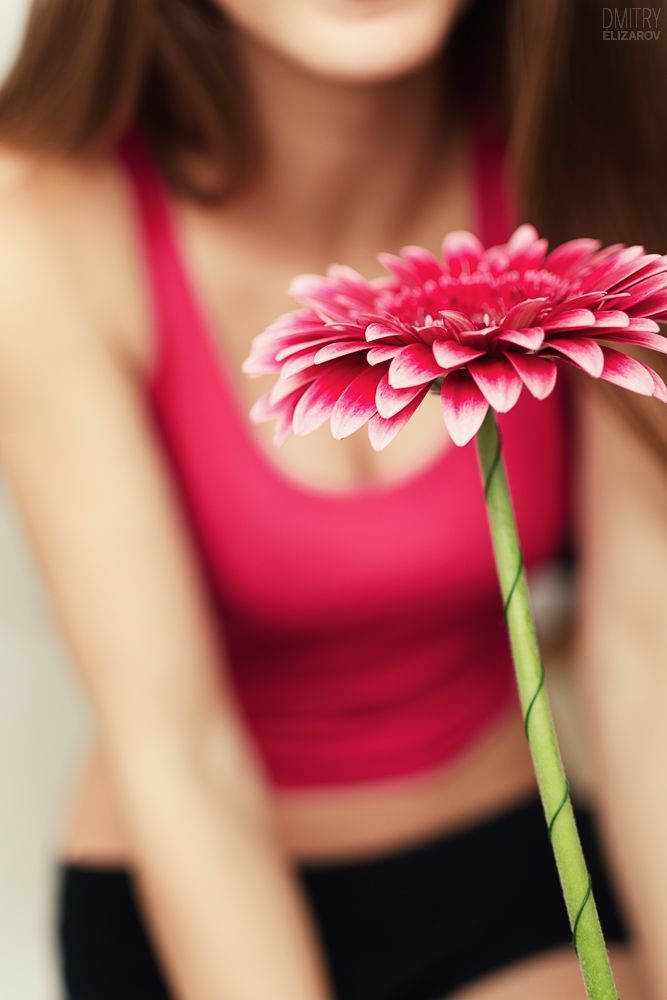 Flower Series: Chrysanthemum