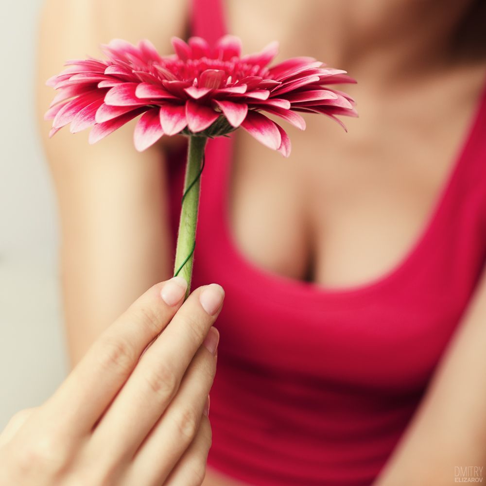 Flower Series: Chrysanthemum