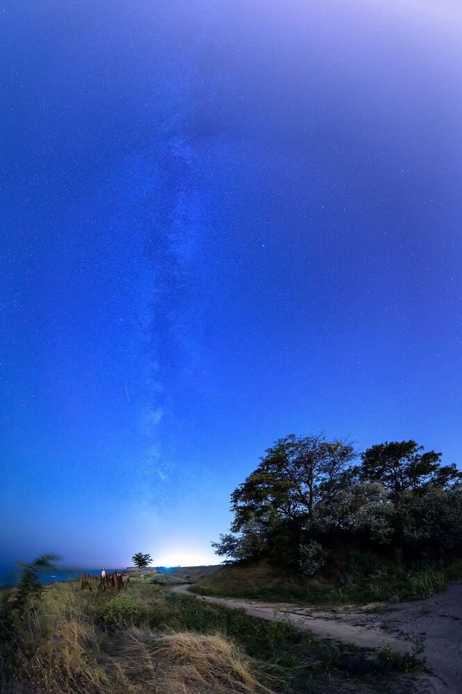 Photo 879499