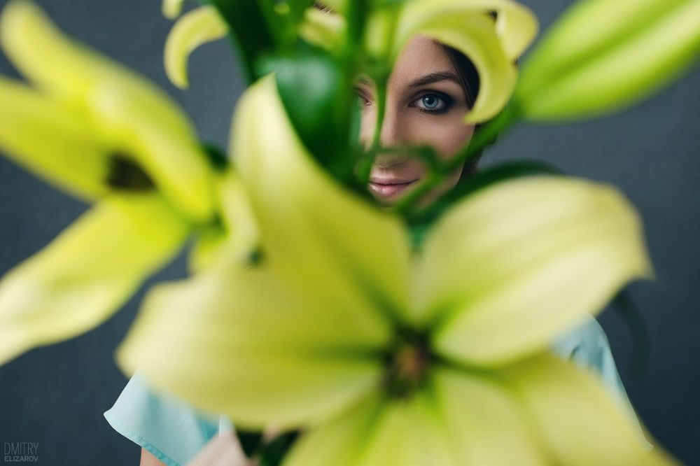 Flower Series: Lily