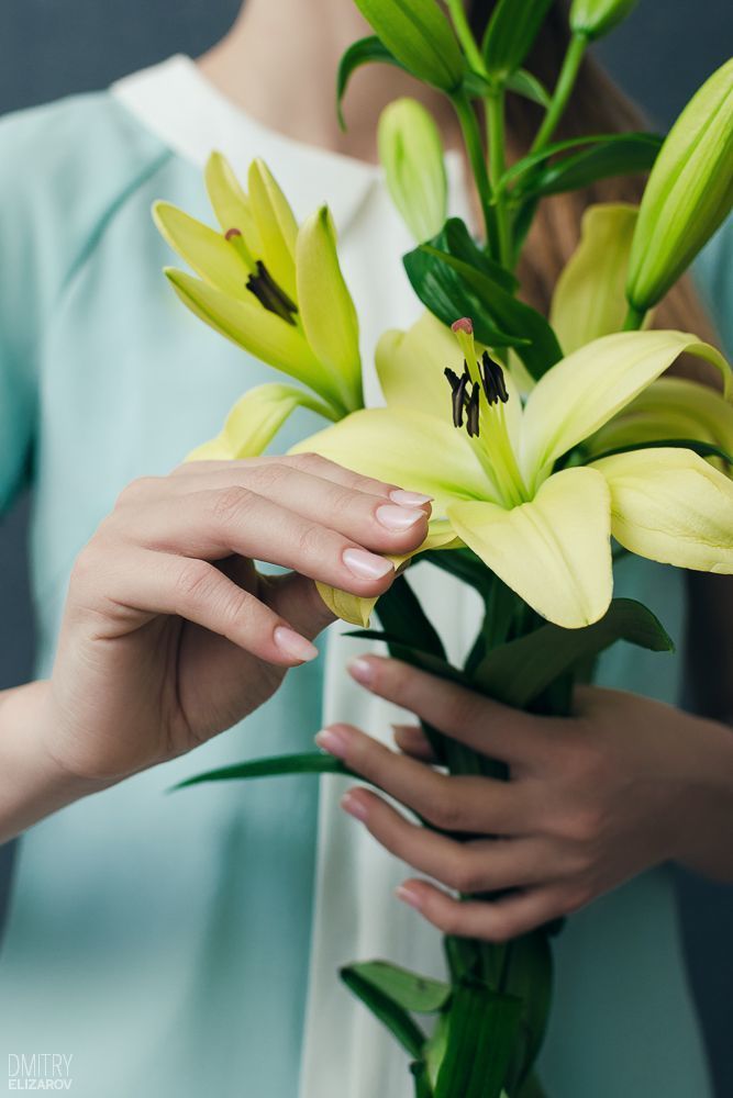 Flower Series: Lily