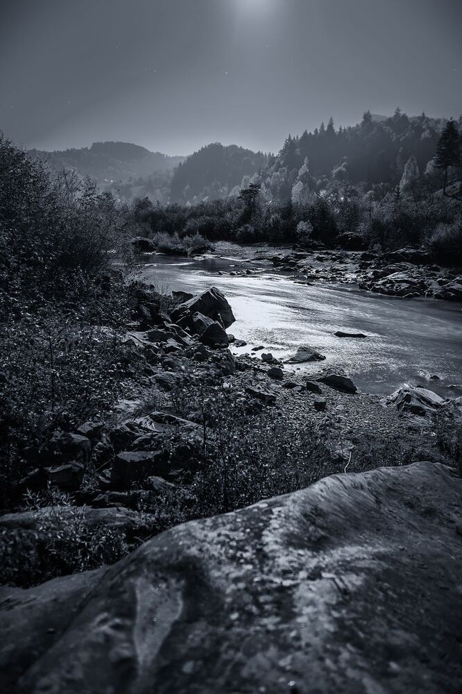 Photo 879506