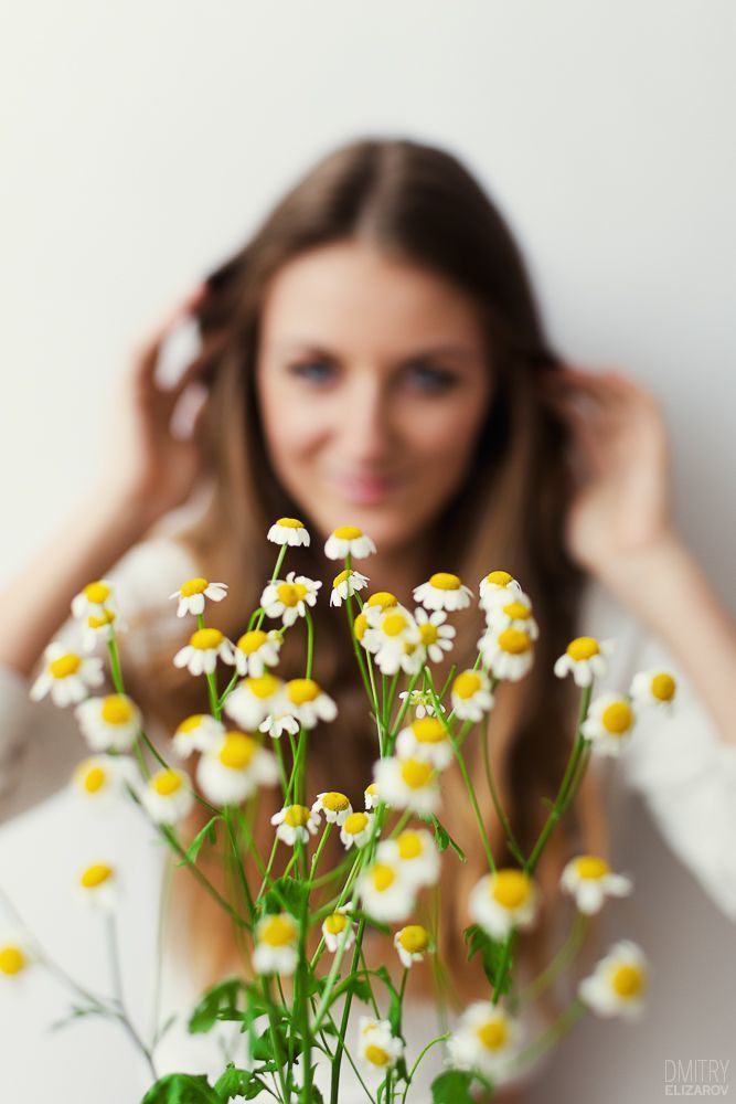 Flower Series: Daisy