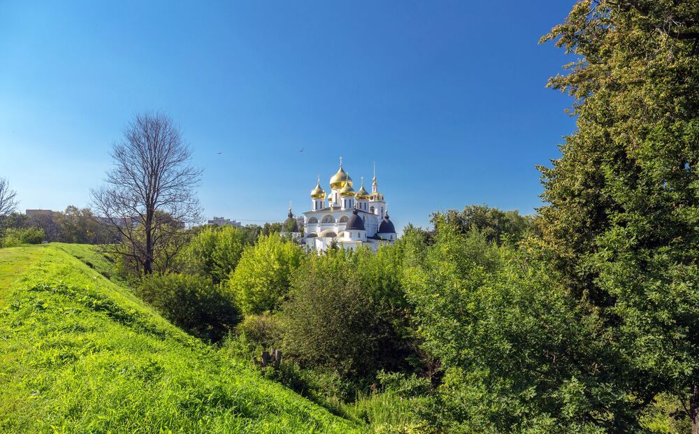 Заросли и небо