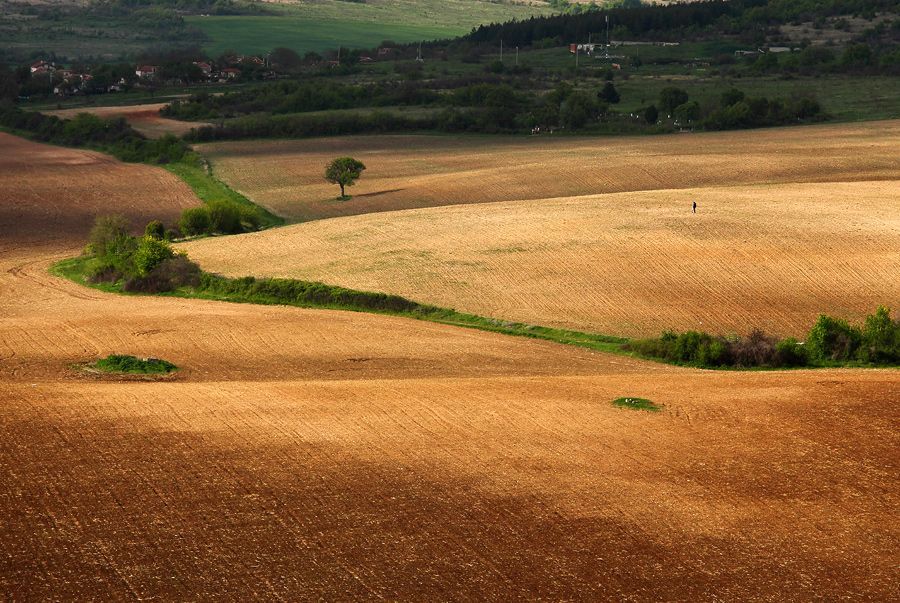 Balkan Fields | Болгарские Поля