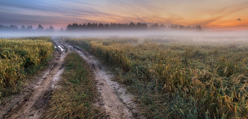Пейзажи