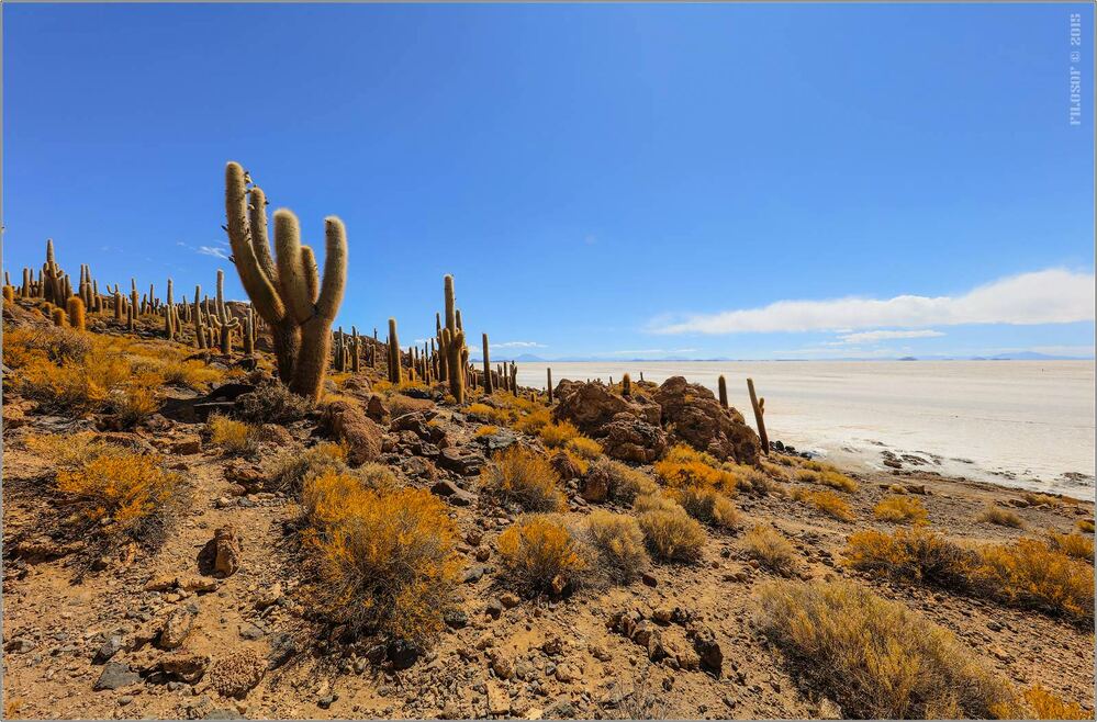 Bolivia