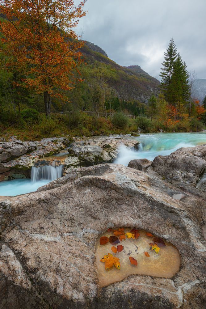 Alps