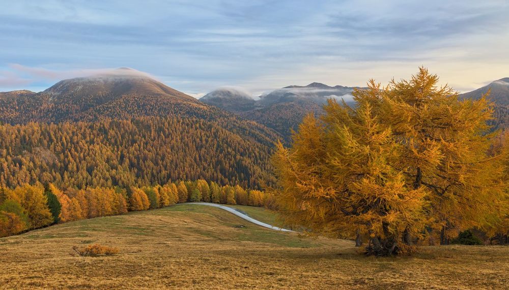 Alps