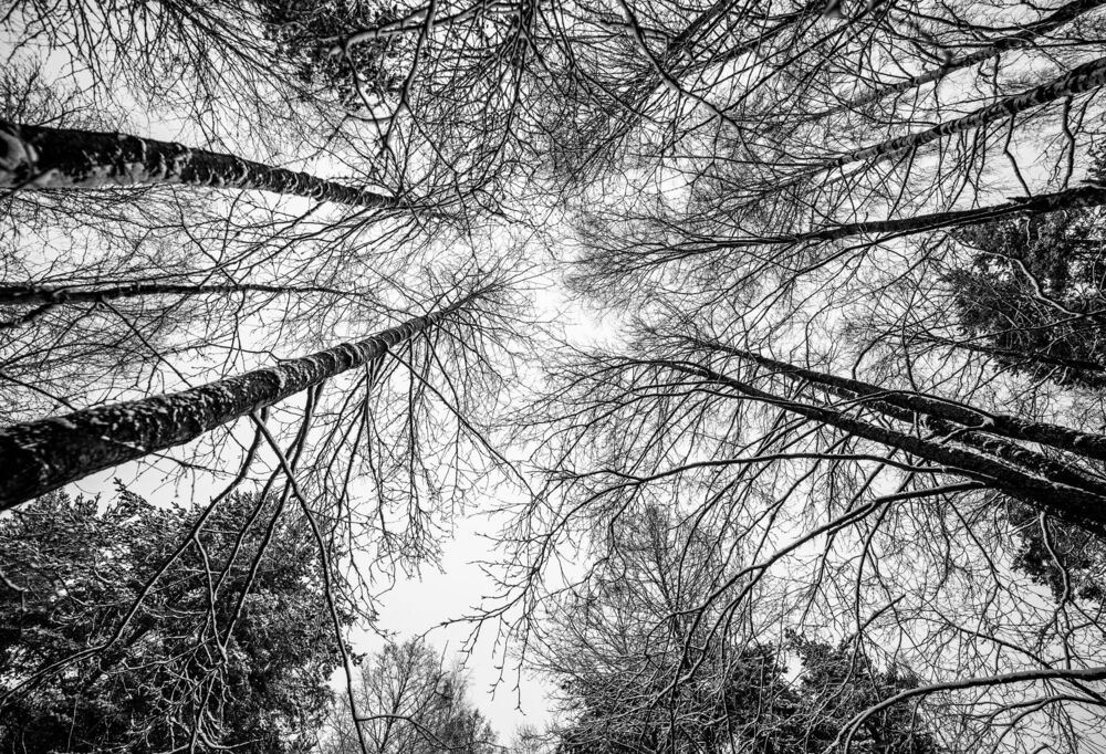 Photo 882240