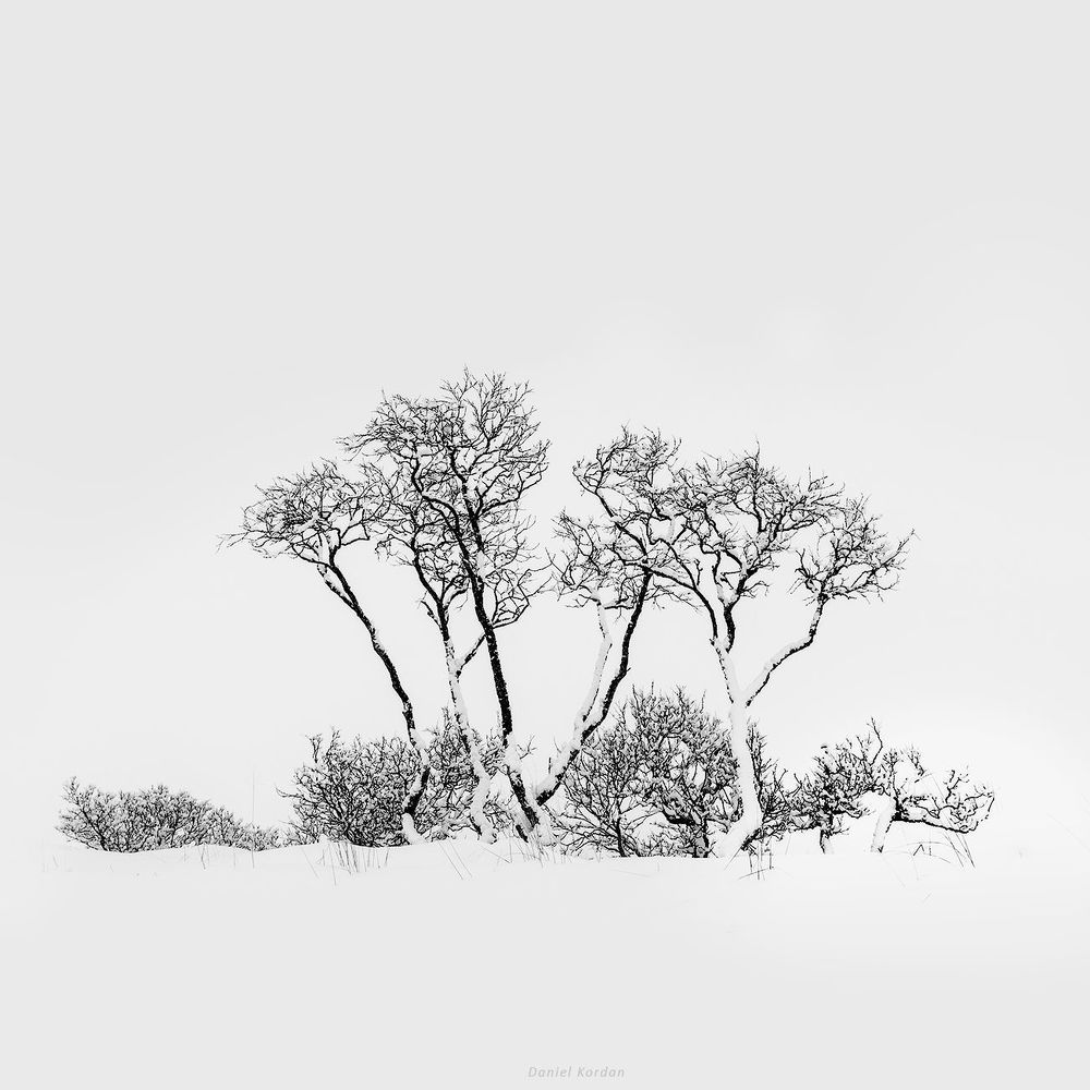 Графика заполярья