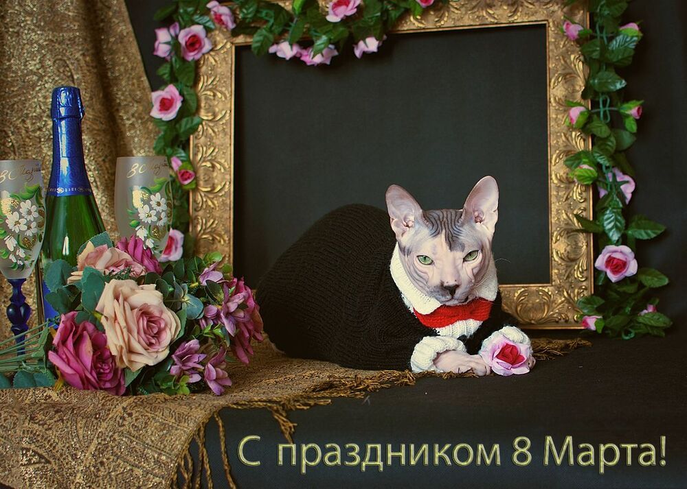 За милых дам...))