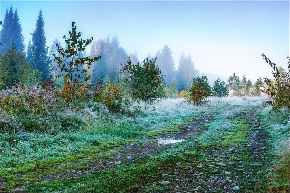 Разное