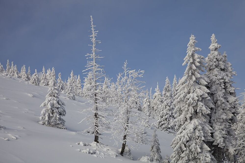 winter