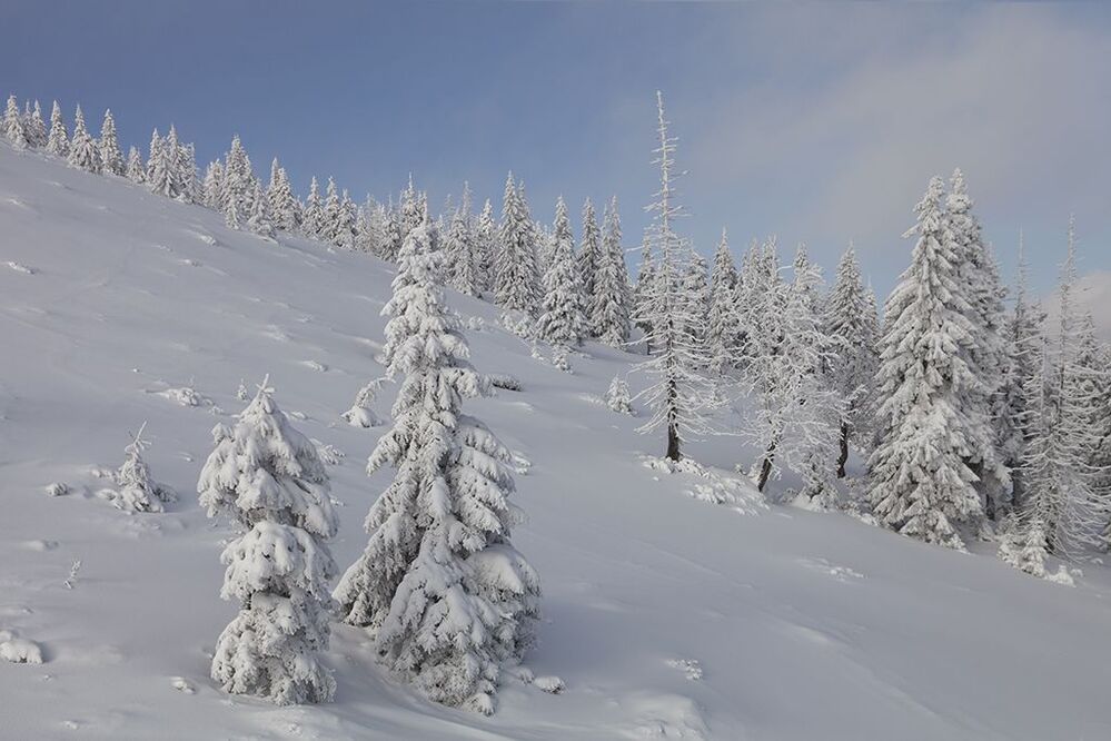 winter