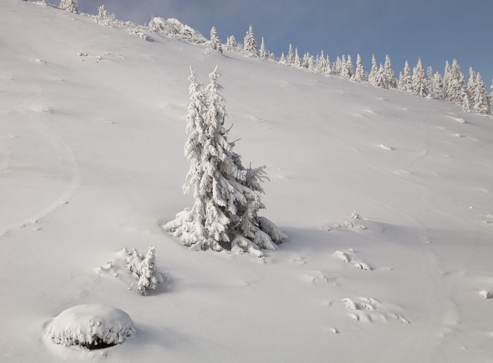 winter