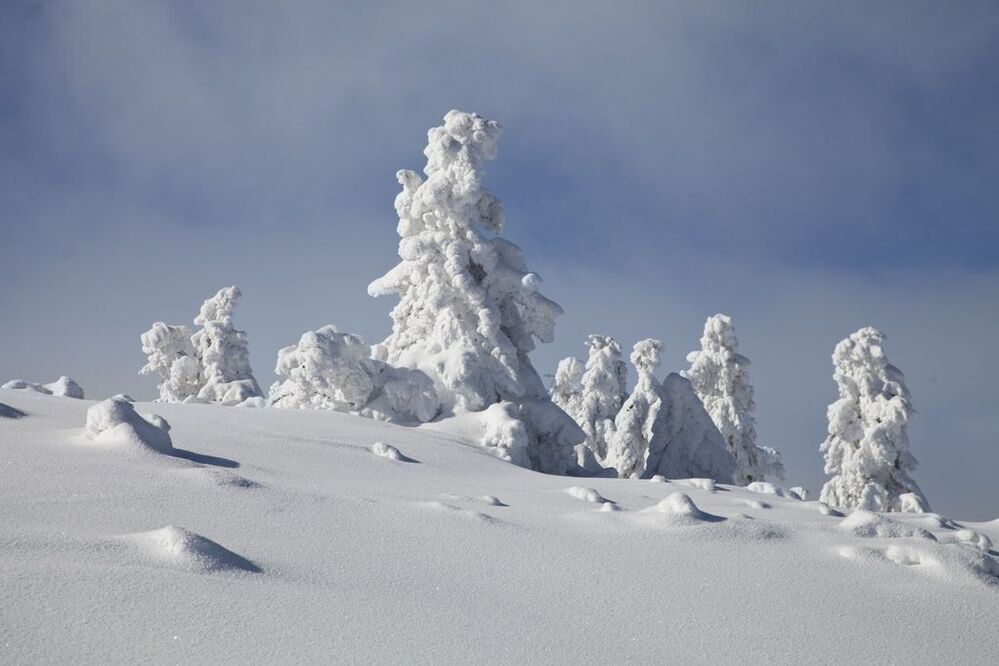 winter