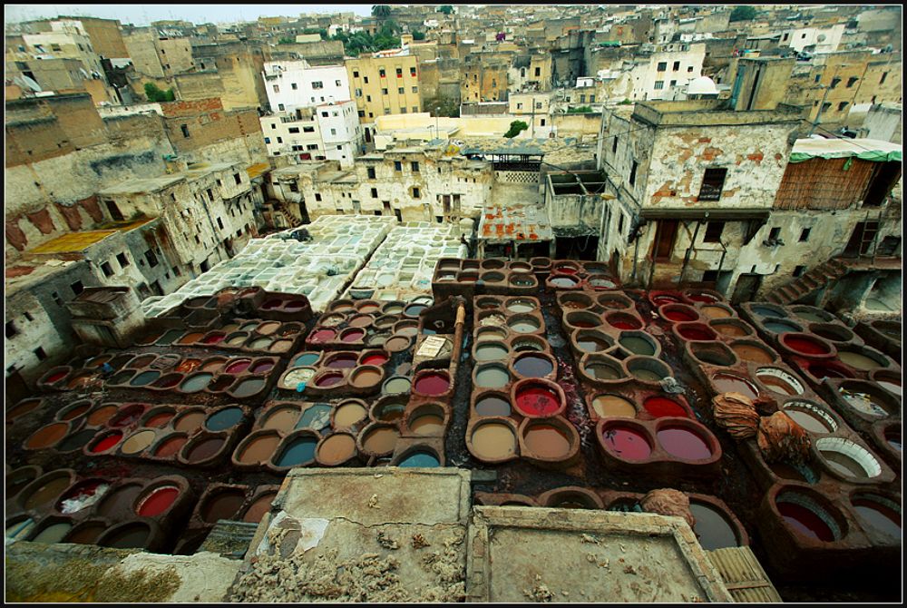 La Palette de Fez