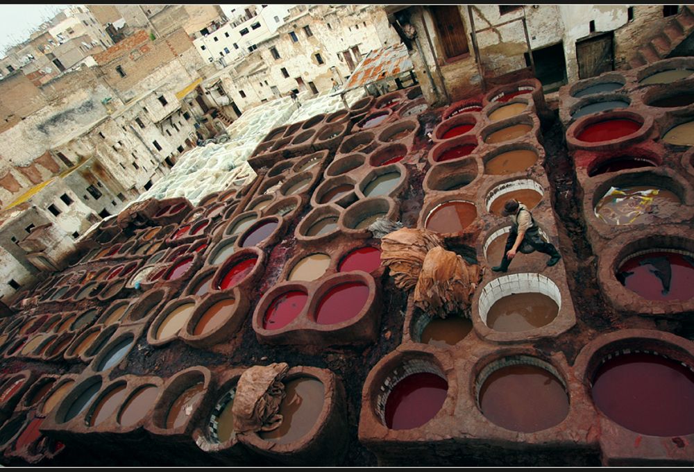 La Palette de Fez