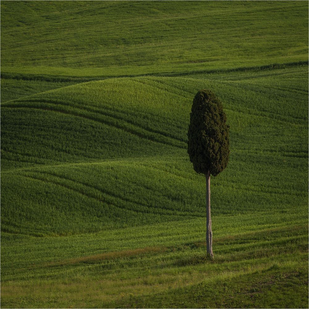 Tuscany in the square.