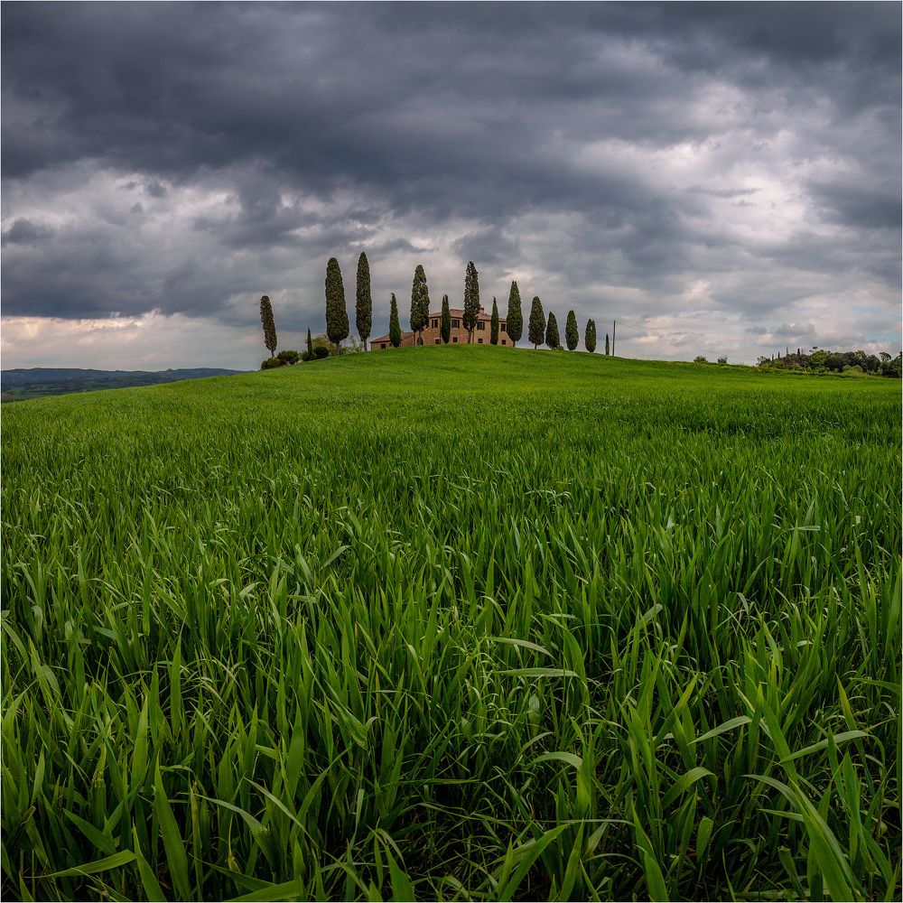 Tuscany in the square.