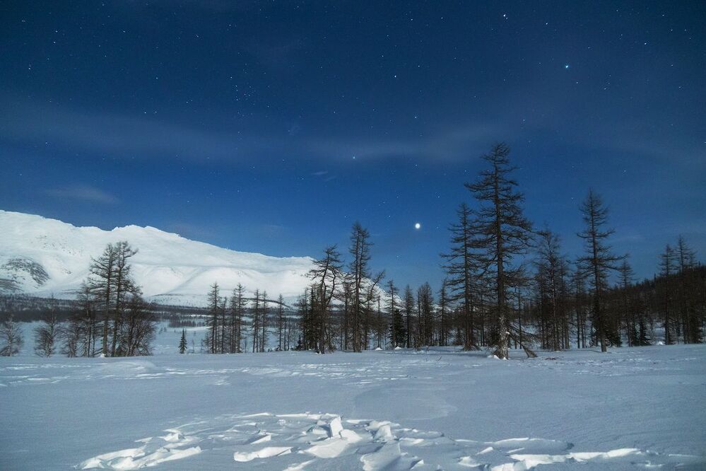 Венера Сабли