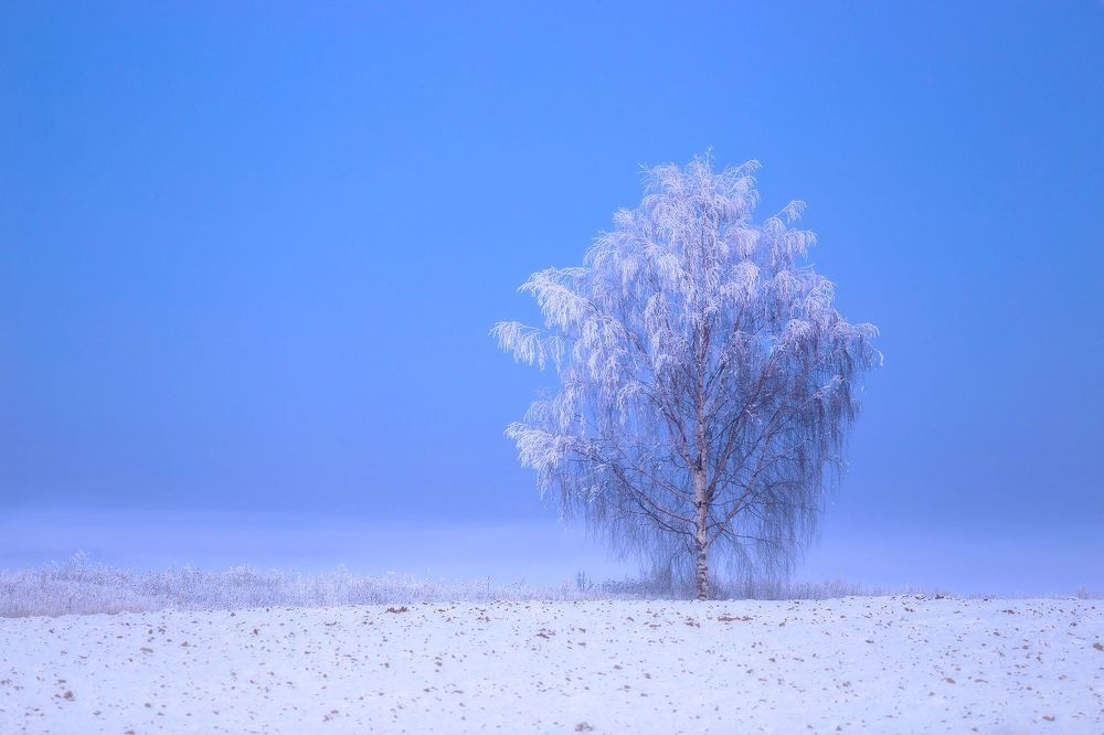 Холодные закаты января