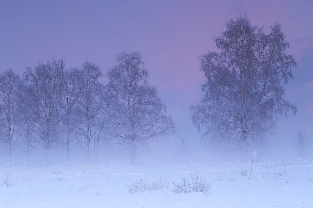 Холодные закаты января